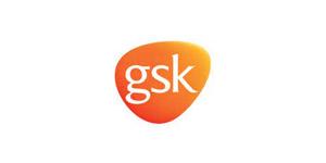 logo gsk 02 • Kaike Marketing Digital • SEO, Performance e Wordpress