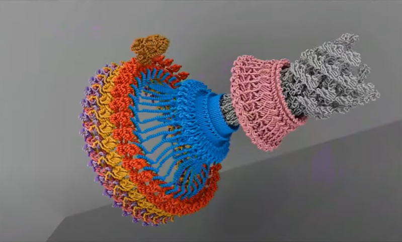 Bioengenharia e metamateriais